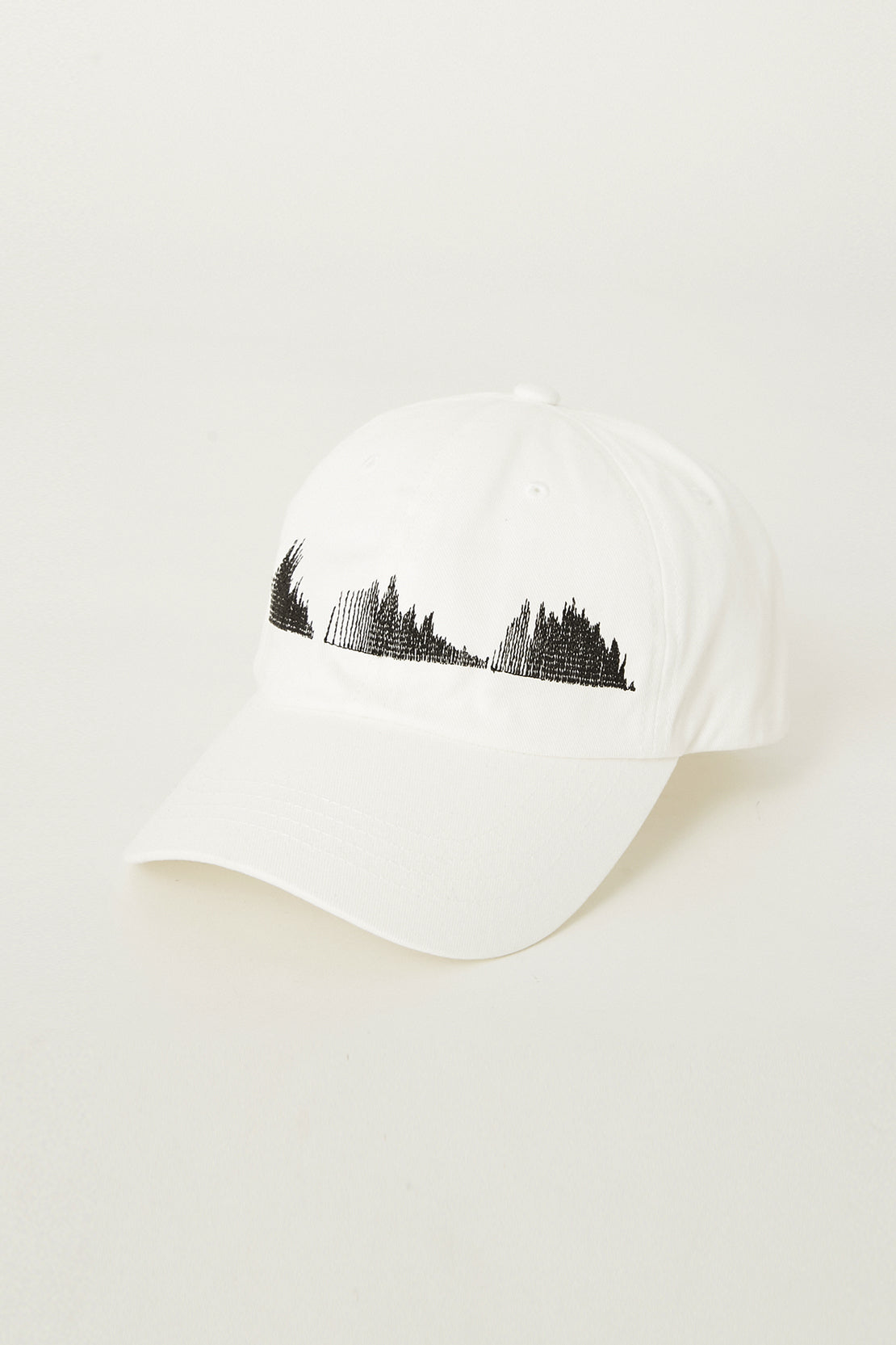 EMBROIDERY 6P CAP